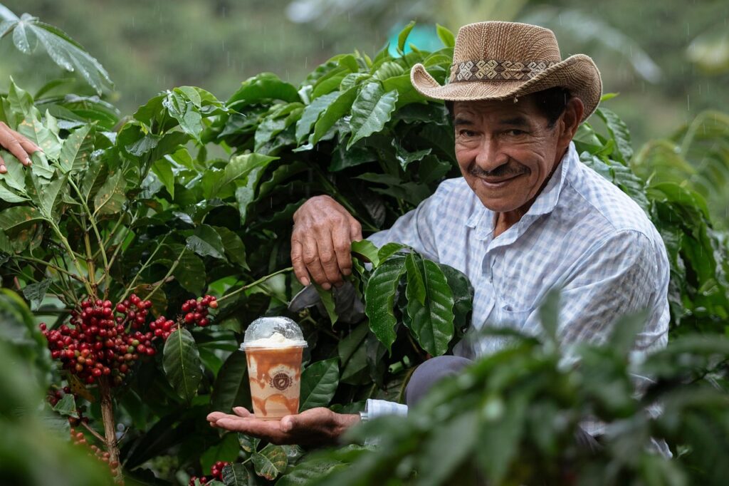 farmer, coffee, colombian coffee, colombia, huila, pitalito, colombian coffee, colombian coffee, colombian coffee, colombia, colombia, colombia, colombia, colombia
