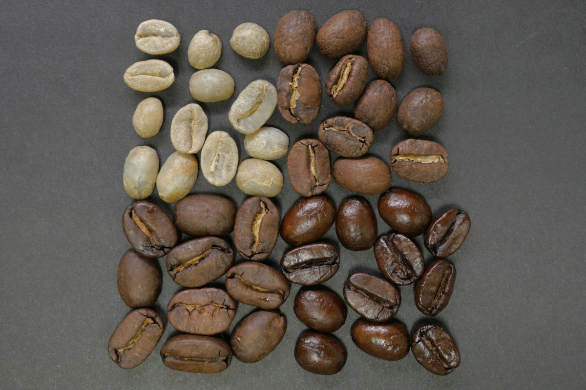 Bean Origin & Roast Level