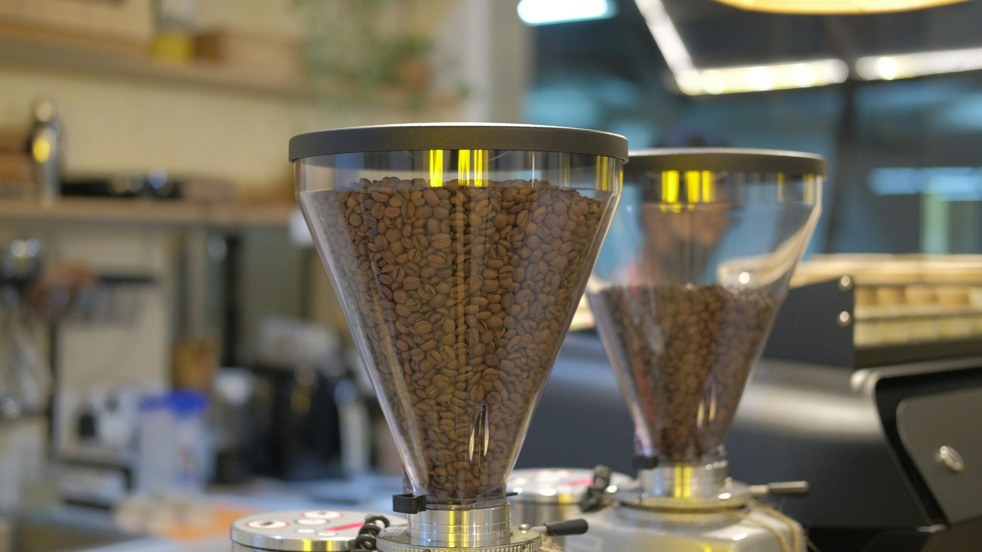 How successful coffee roasteries attract and retain loyal customers