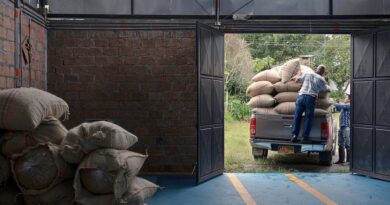 Green coffee bags from multiple origins being unloaded during intake, highlighting lot management and consistency challenges for roasteries