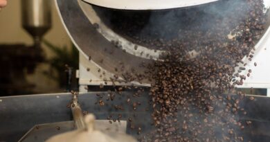 Coffee roastery production showing roasted beans discharged from a roasting machine during daily operations