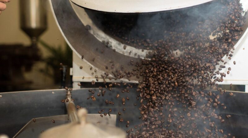 Coffee roastery production showing roasted beans discharged from a roasting machine during daily operations