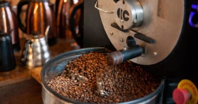 Commercial coffee roasting machine discharging roasted beans during production roasting