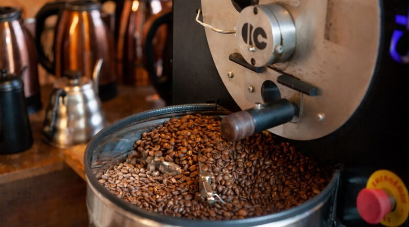 Commercial coffee roasting machine discharging roasted beans during production roasting