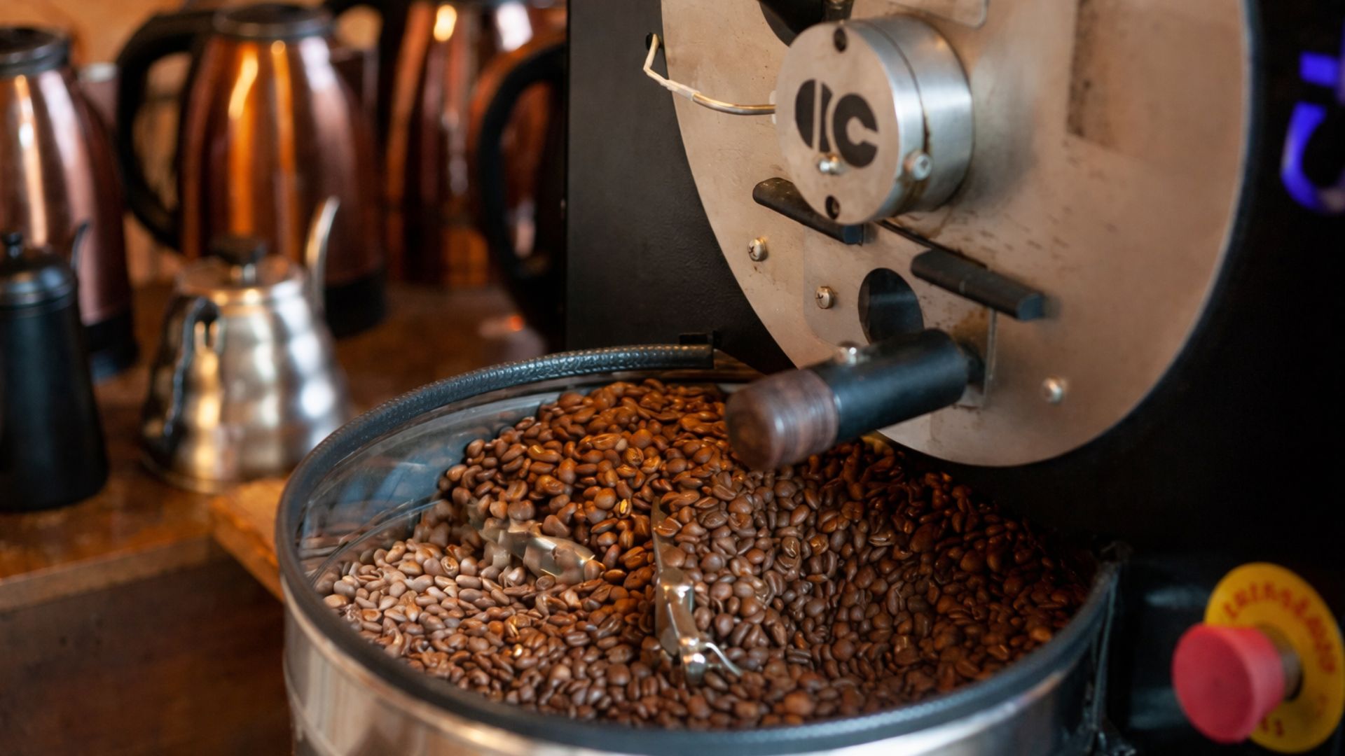 Commercial coffee roasting machine discharging roasted beans during production roasting