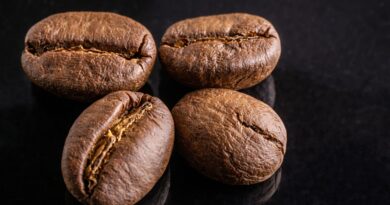 “Roasted coffee beans during development time after first crack in a production roastery”