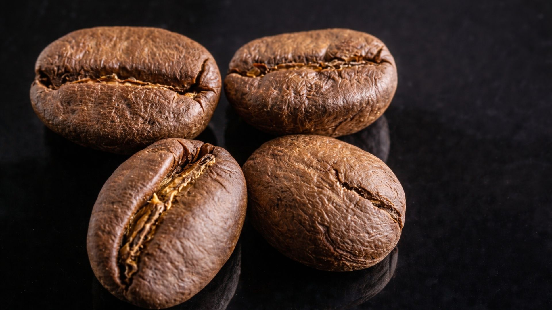 “Roasted coffee beans during development time after first crack in a production roastery”