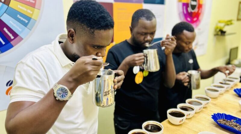 Quality inspection of coffee beans during evaluation, representing coffee lots that reshaped specialty coffee quality standards