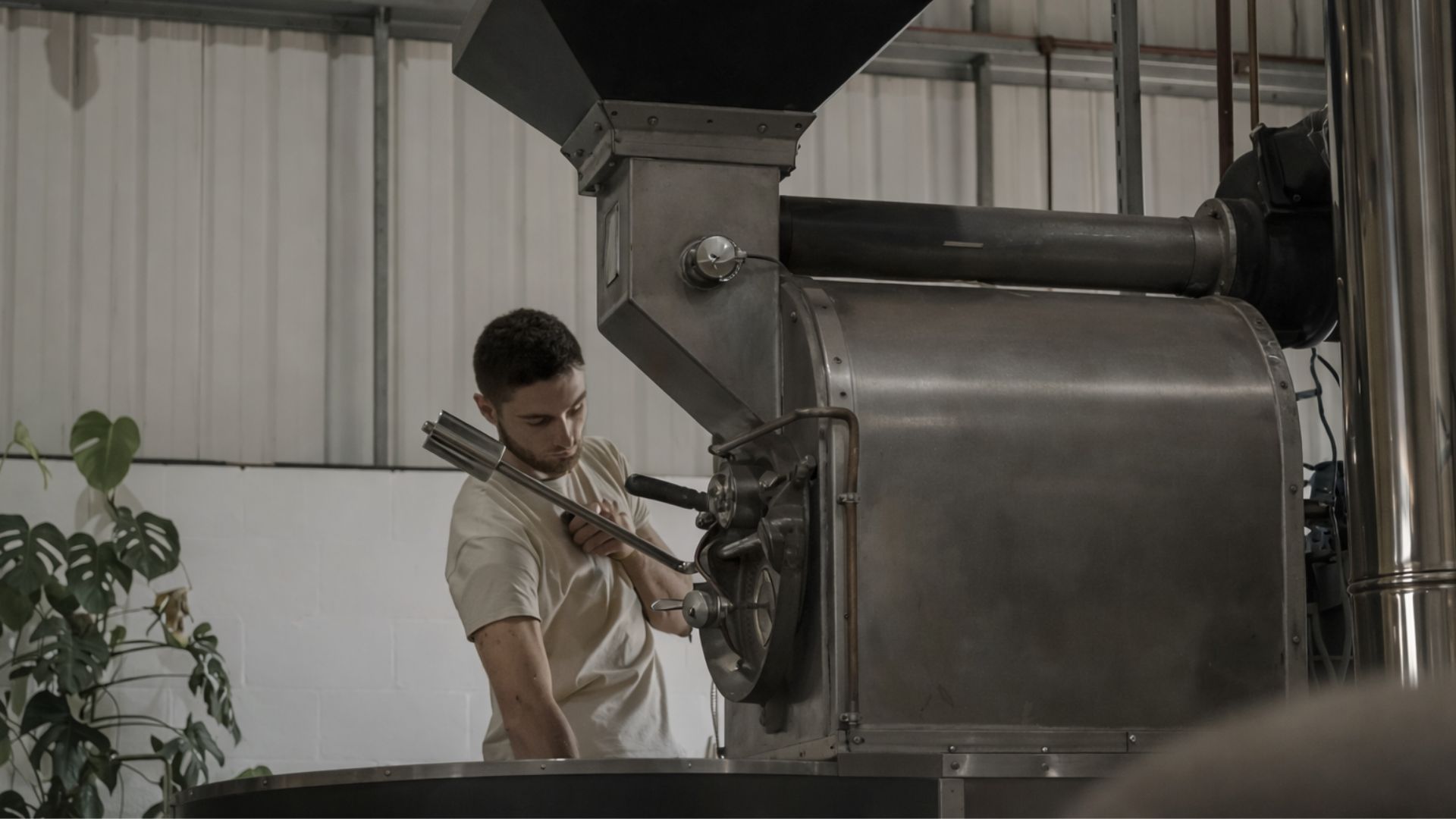 “Commercial coffee roasting production showing consistent roast profiles designed for different market preferences.”