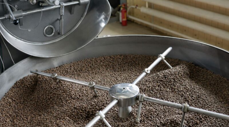 High-volume coffee roasting process showing roasted beans during continuous production