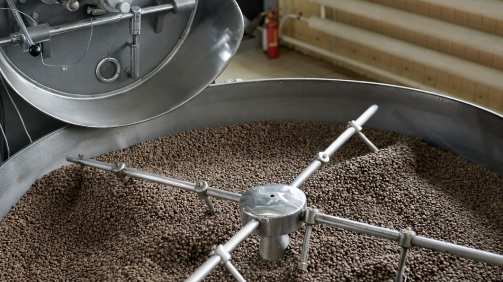 High-volume coffee roasting process showing roasted beans during continuous production