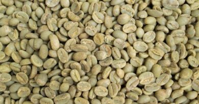 green coffee prices today