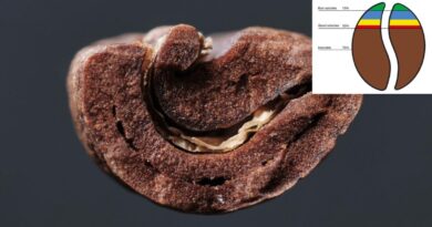 Green coffee bean density explained clearly. Learn how density affects heat transfer, roast profiles, and flavor and how roasters should,