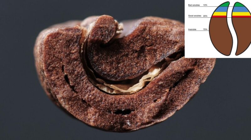 Green coffee bean density explained clearly. Learn how density affects heat transfer, roast profiles, and flavor and how roasters should,