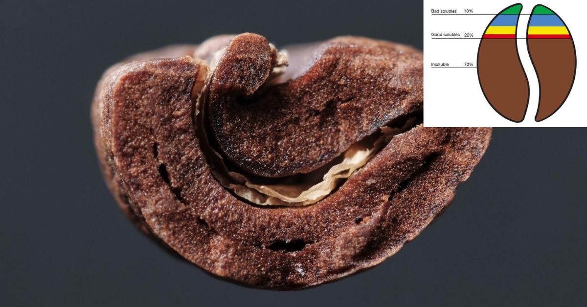 Green coffee bean density explained clearly. Learn how density affects heat transfer, roast profiles, and flavor and how roasters should,