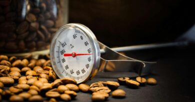 coffee roasting process in a professional roastery