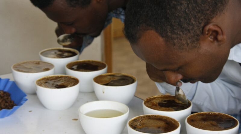 Coffee Cupping