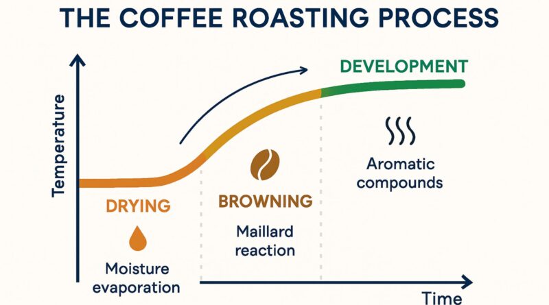 Roast development time influencing coffee flavor and cup quality