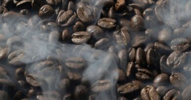 how to roast coffee