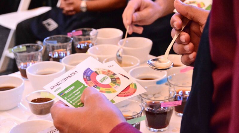 Coffee cupping session showing sensory evaluation and scoring during professional tasting