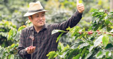Coffee farmer approving cherry quality during contract coffee buying process
