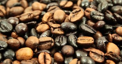 Coffee beans showing uneven roast levels, including scorched and underdeveloped beans caused by roast defects