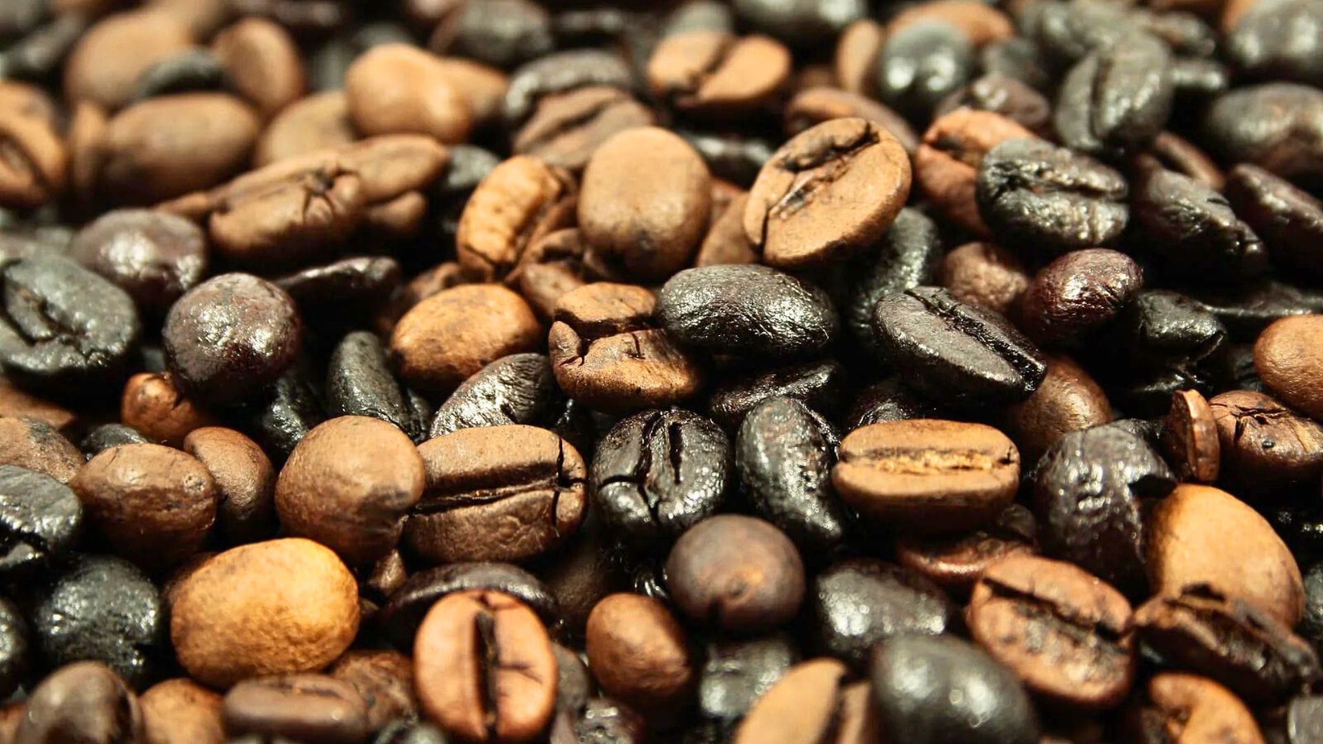 Coffee beans showing uneven roast levels, including scorched and underdeveloped beans caused by roast defects