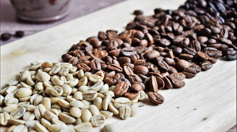 Under-roasted coffee beans compared with green, medium, and dark roast levels