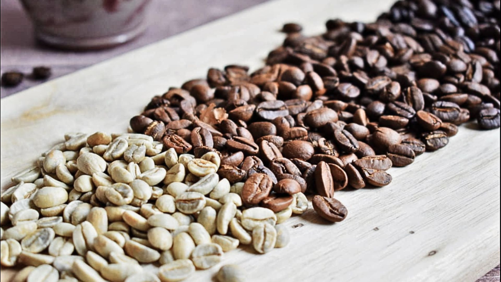 Under-roasted coffee beans compared with green, medium, and dark roast levels