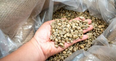 Specialty green coffee beans