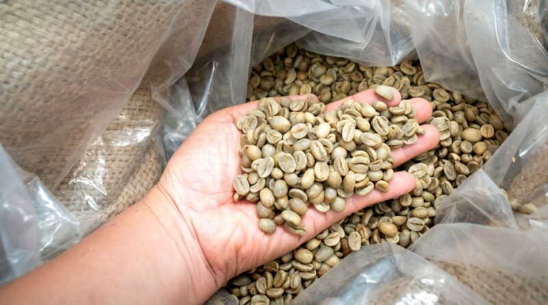 Specialty green coffee beans