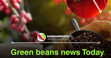 green beans news coffee market analysis