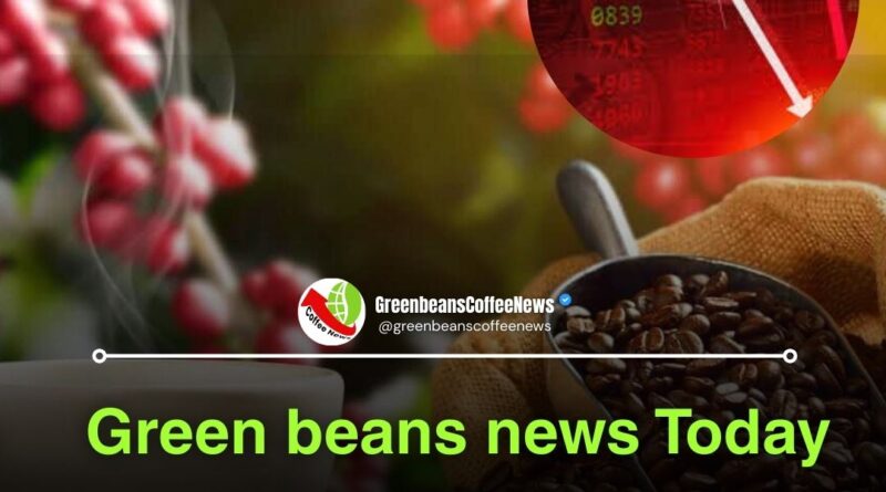green beans news coffee market analysis