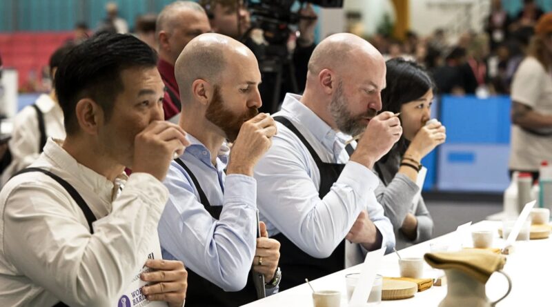 Cup of Excellence coffee cupping and green coffee auction showcasing top microlots from producing countries in 2026