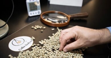 Green Coffee Sourcing Decisions in an Unstable Supply Environment