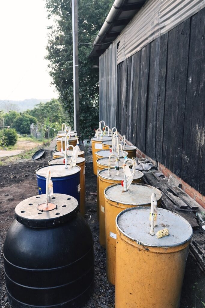 Anaerobic fermentation coffee using sealed tanks to control oxygen exposure.